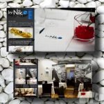 web agency ancona